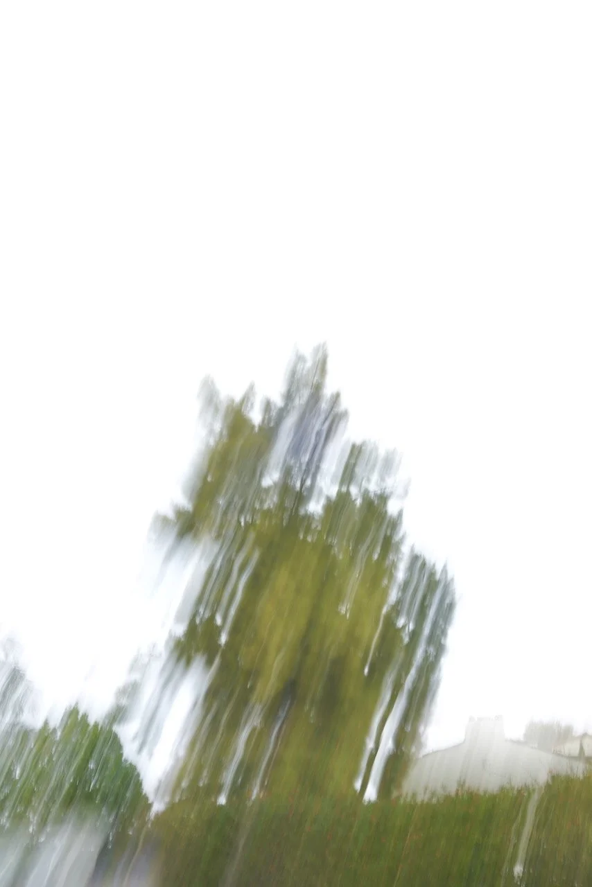  Movement 2024:113 (2024) C-print on wood panel, 60”x40” 