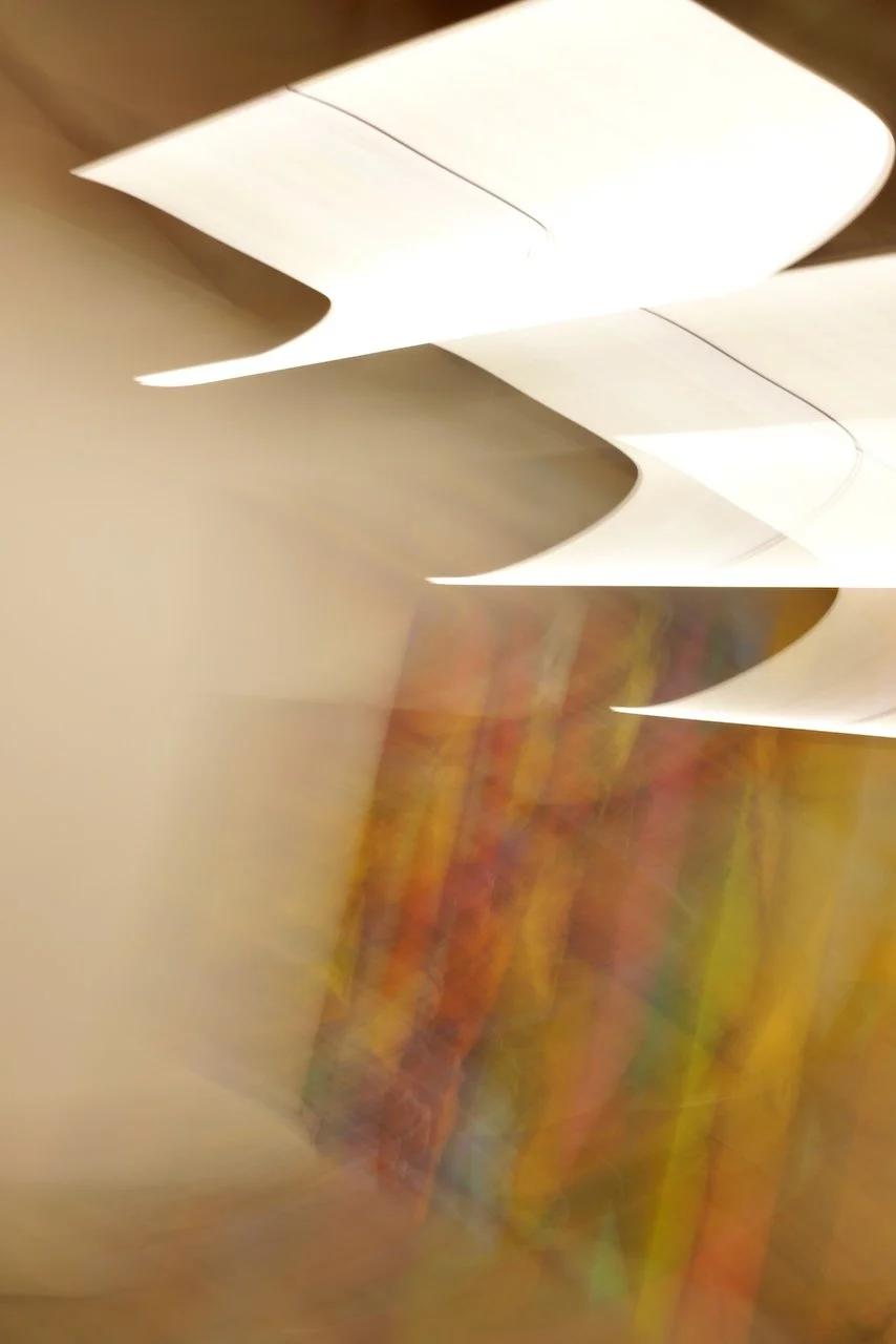  Movement 2024:115 (2024) C-print on wood panel, 60”x40” 