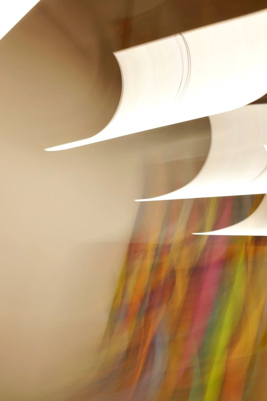  Movement 2024:117 (2024) C-print on wood panel, 60”x40” 