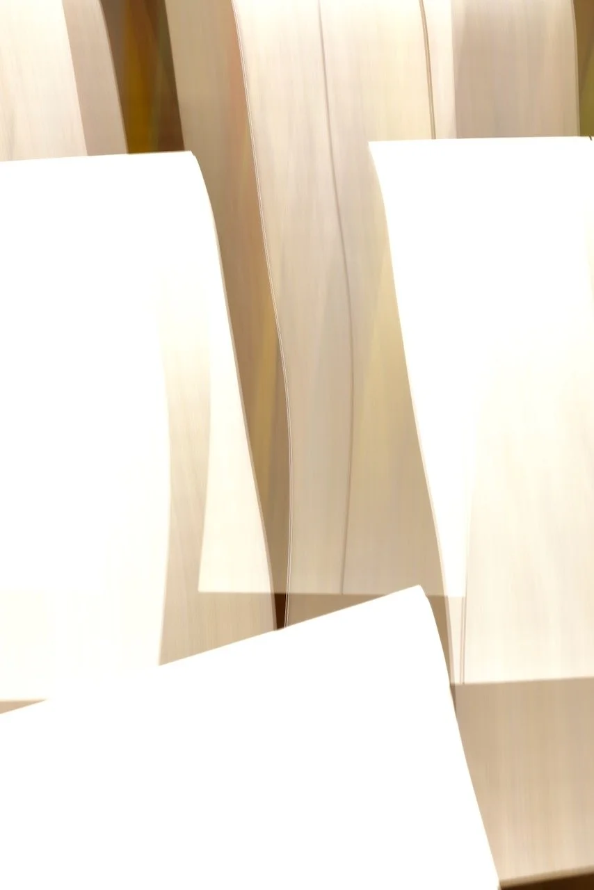  Movement 2024:121 (2024) C-print on wood panel, 60”x40” 