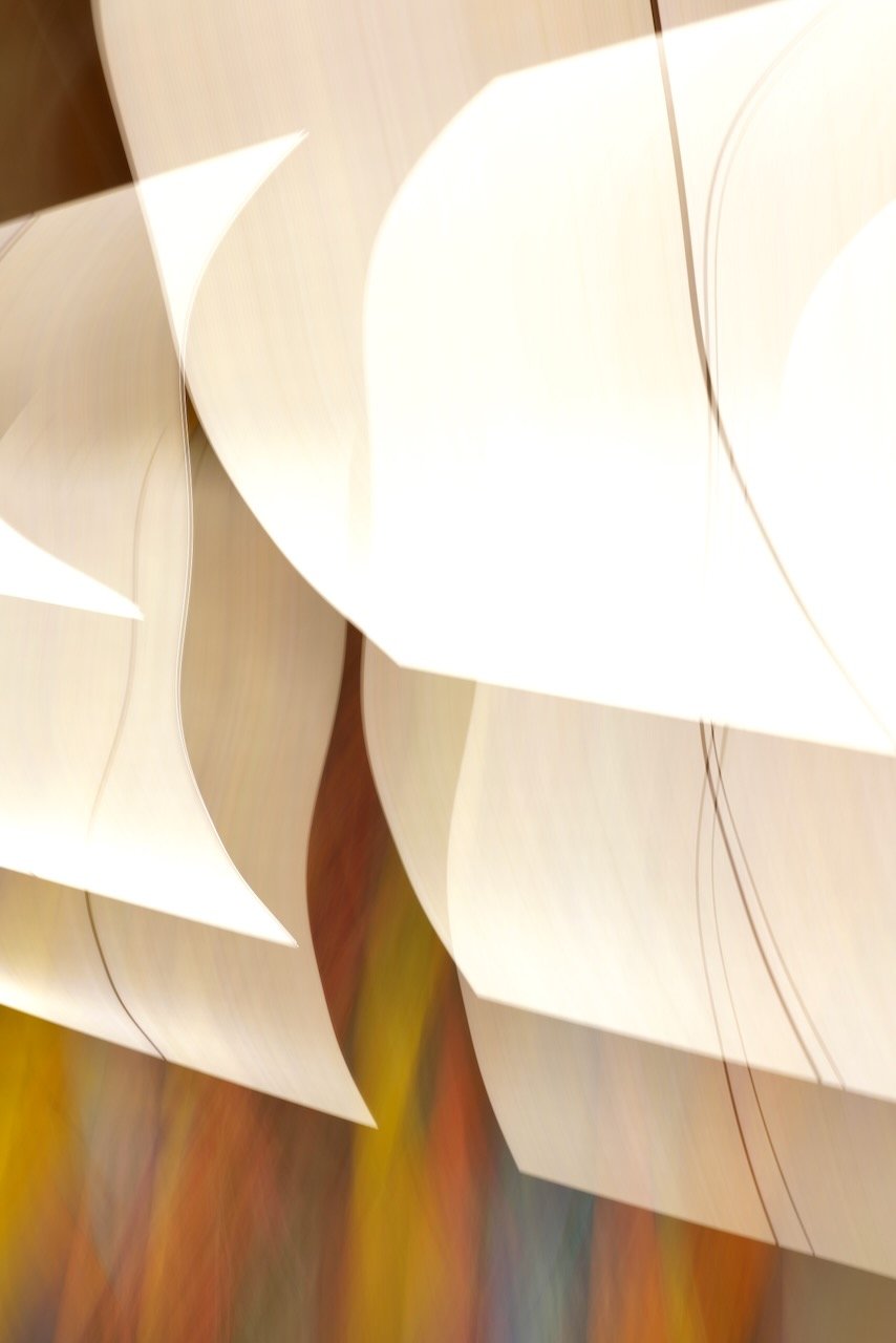  Movement 2024:123 (2024) C-print on wood panel, 60”x40” 