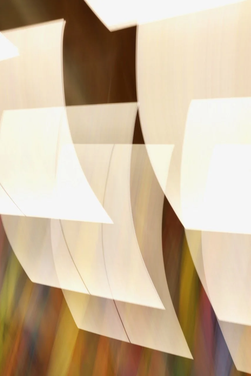  Movement 2024:125 (2024) C-print on wood panel, 60”x40” 