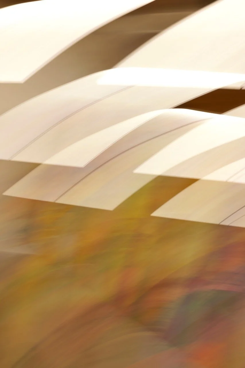  Movement 2024:126 (2024) C-print on wood panel, 60”x40” 