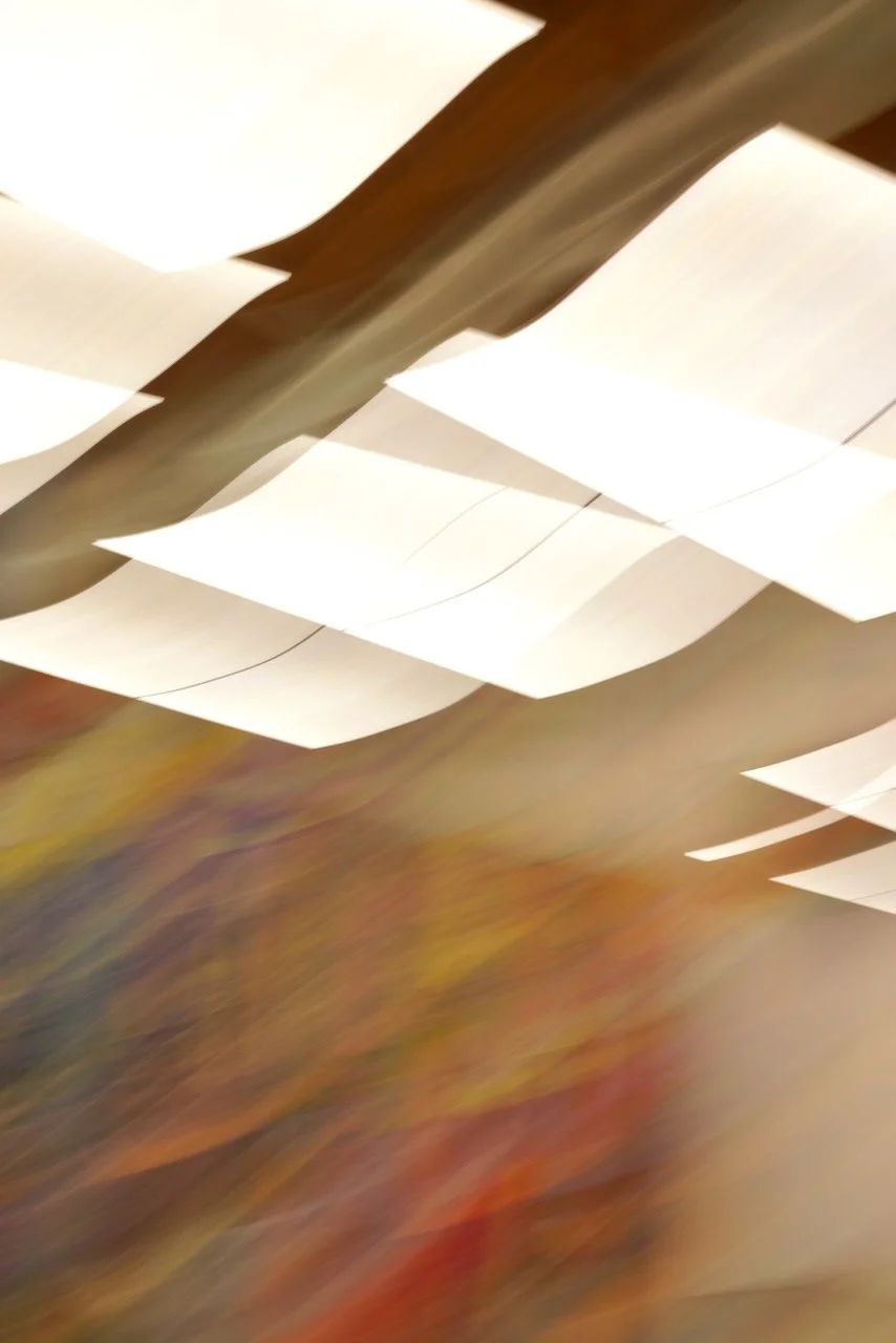  Movement 2024:129 (2024) C-print on wood panel, 60”x40” 