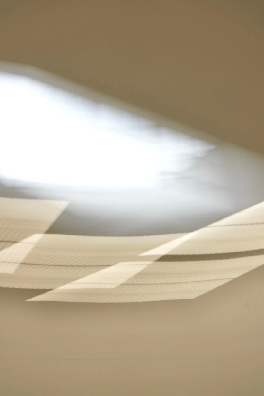  Movement 2024:132 (2024) C-print on wood panel, 60”x40” 