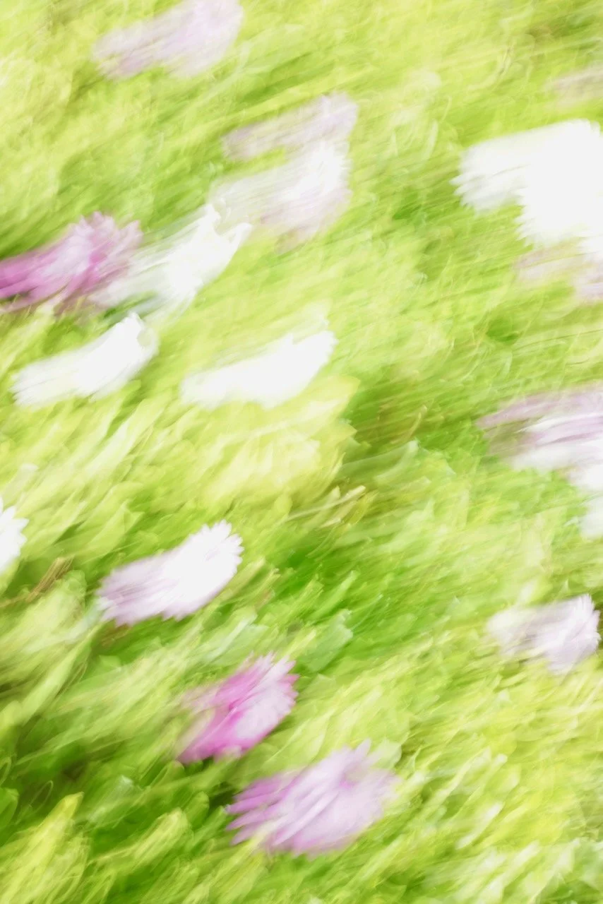  Movement 2024:133 (2024) C-print on wood panel, 60”x40” 