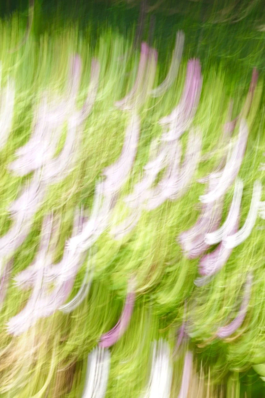  Movement 2024:135 (2024) C-print on wood panel, 60”x40” 