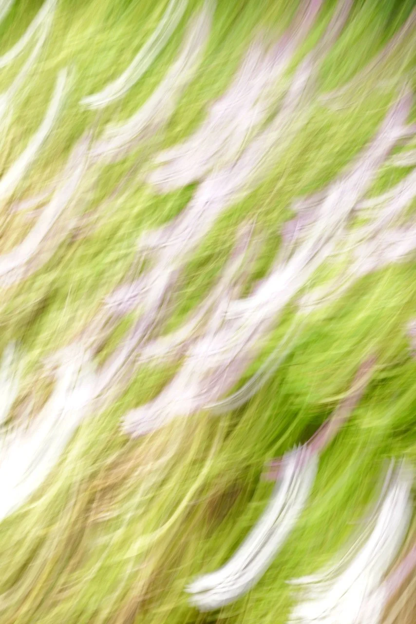  Movement 2024:136 (2024) C-print on wood panel, 60”x40” 