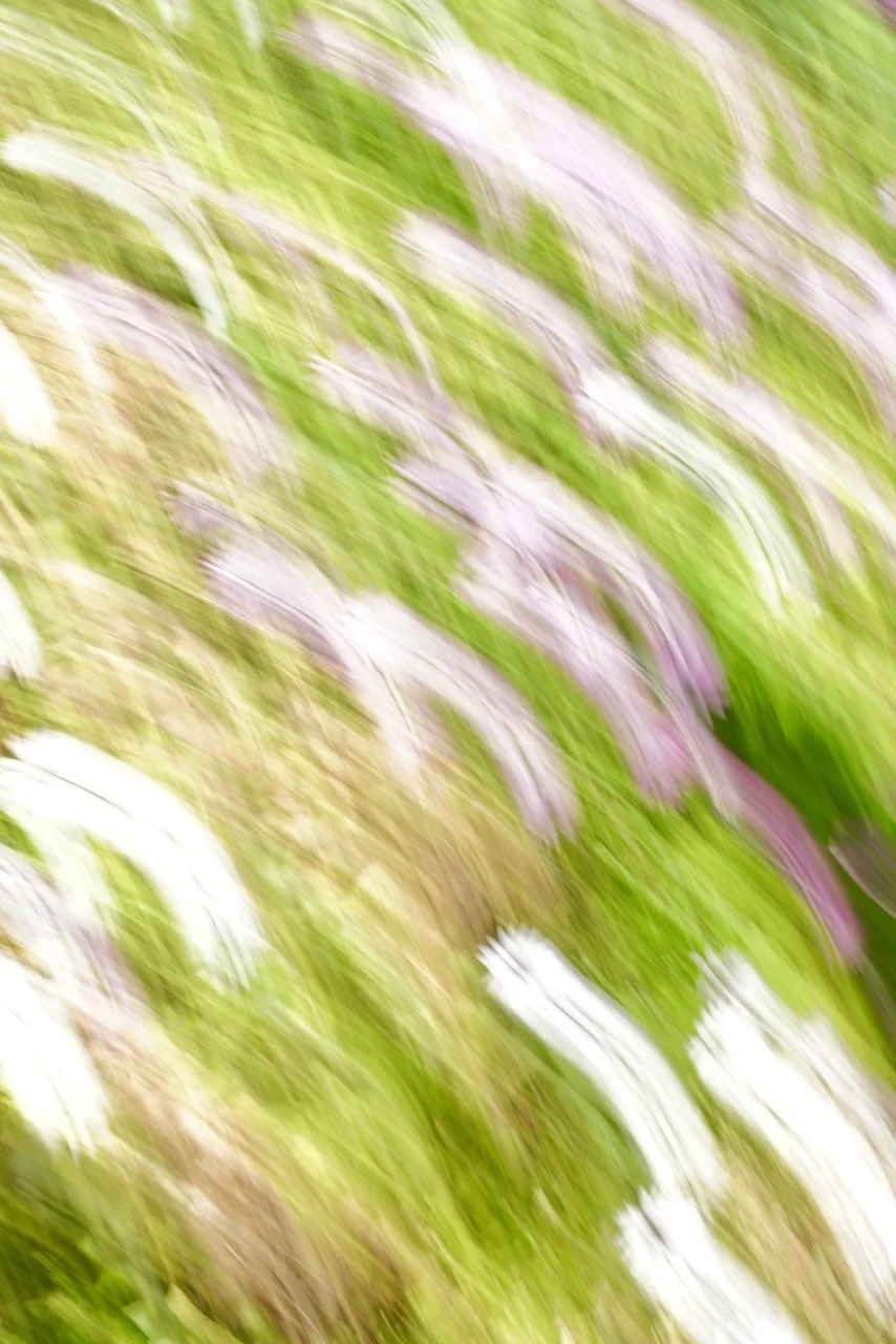  Movement 2024:137 (2024) C-print on wood panel, 60”x40” 