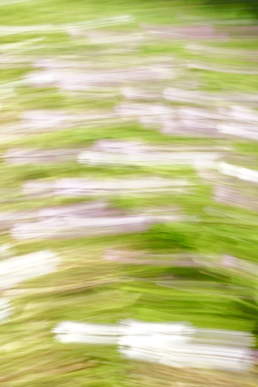  Movement 2024:138 (2024) C-print on wood panel, 60”x40” 