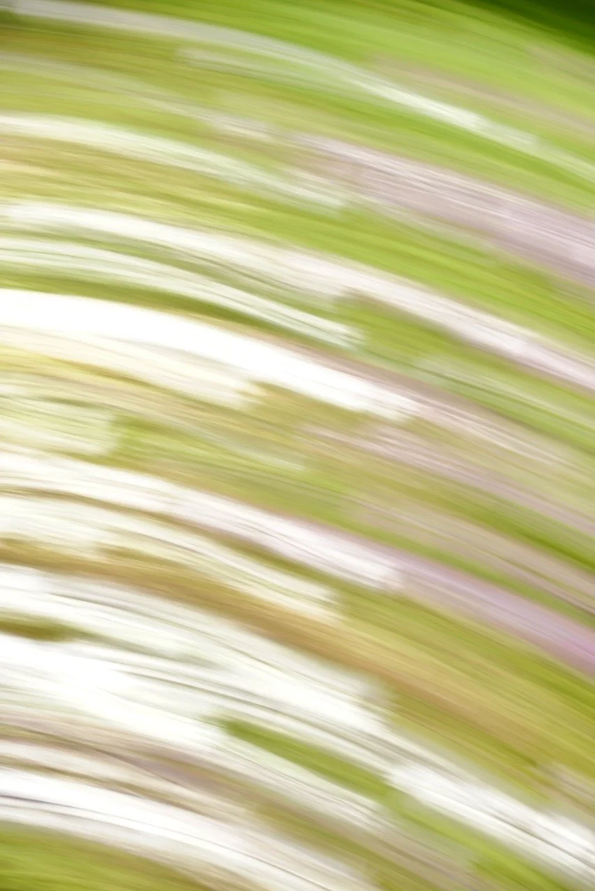  Movement 2024:139 (2024) C-print on wood panel, 60”x40” 