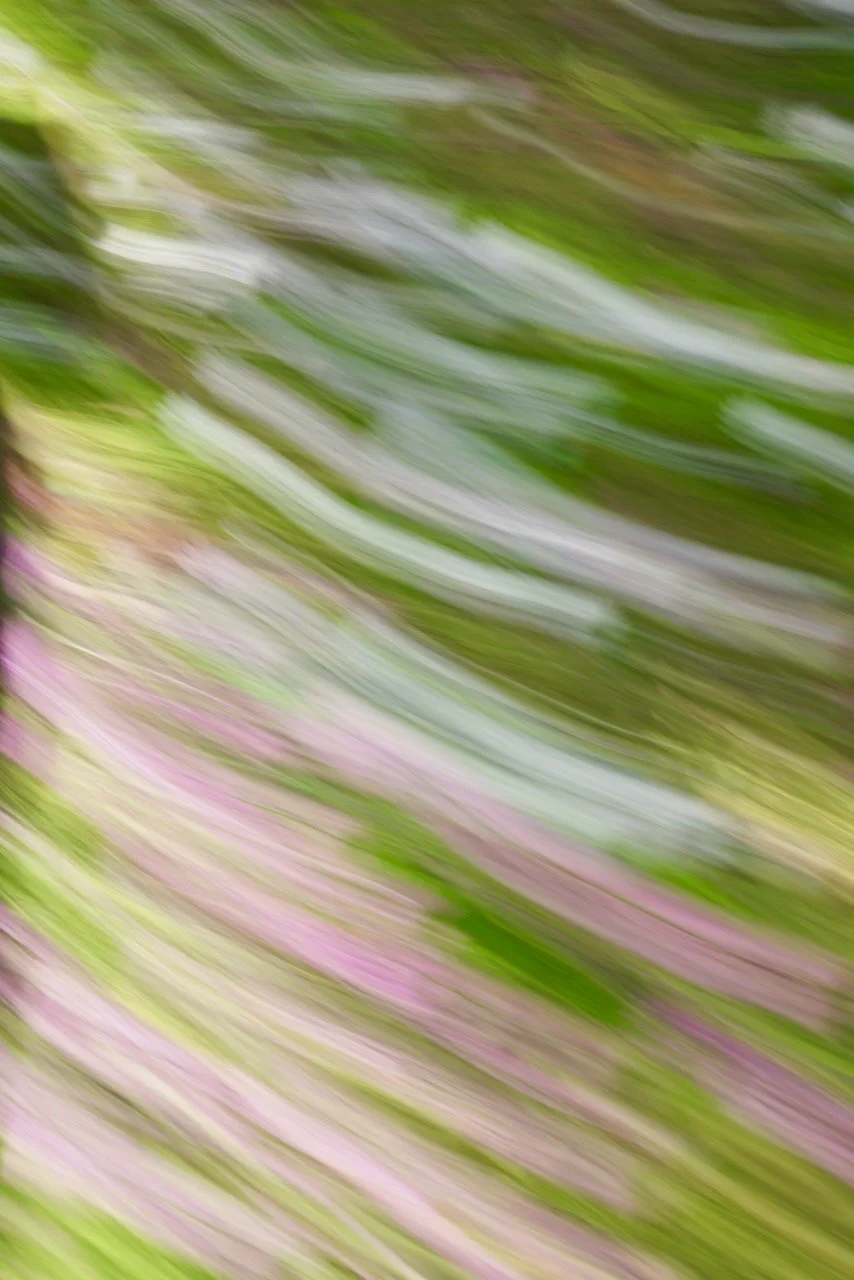  Movement 2024:140 (2024) C-print on wood panel, 60”x40” 