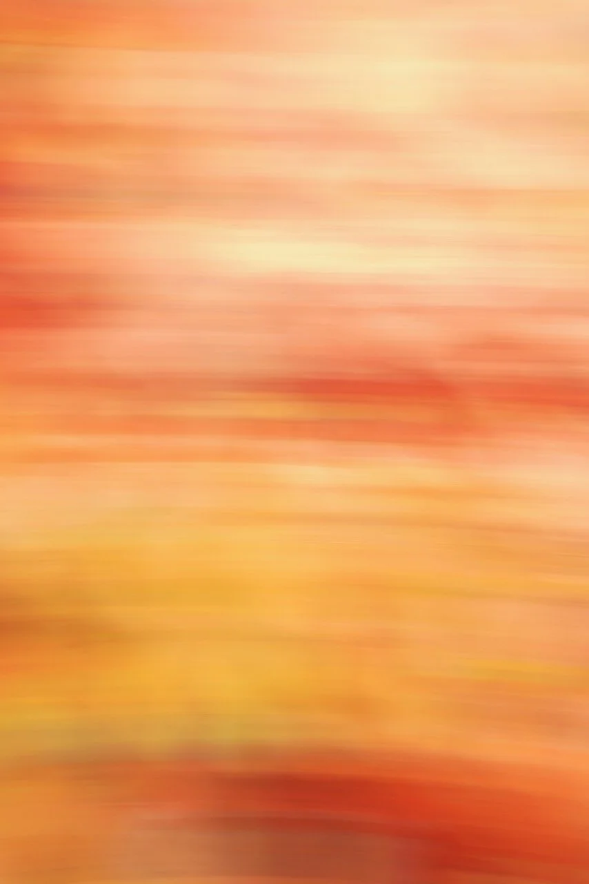  Movement 2024:142 (2024) C-print on wood panel, 60”x40” 