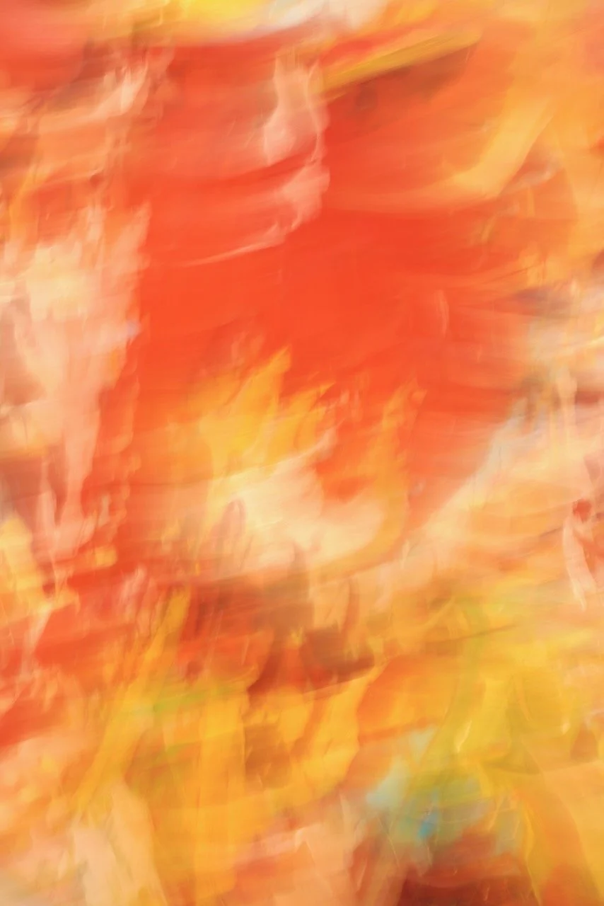  Movement 2024:143 (2024) C-print on wood panel, 60”x40” 