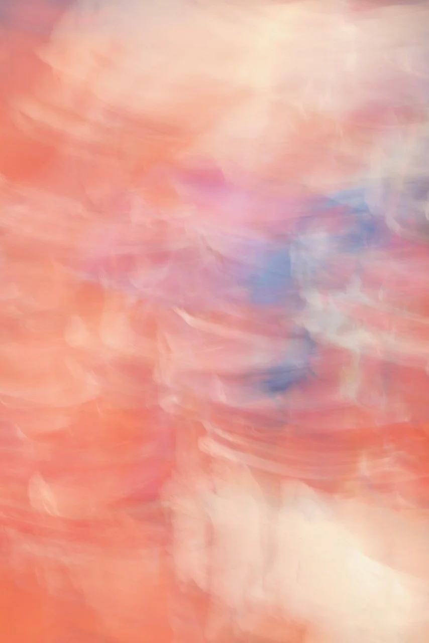  Movement 2024:145 (2024) C-print on wood panel, 60”x40” 