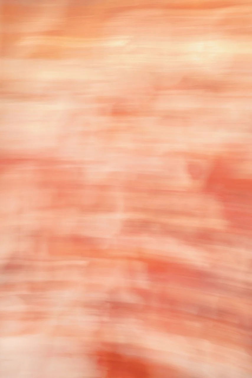  Movement 2024:147 (2024) C-print on wood panel, 60”x40” 