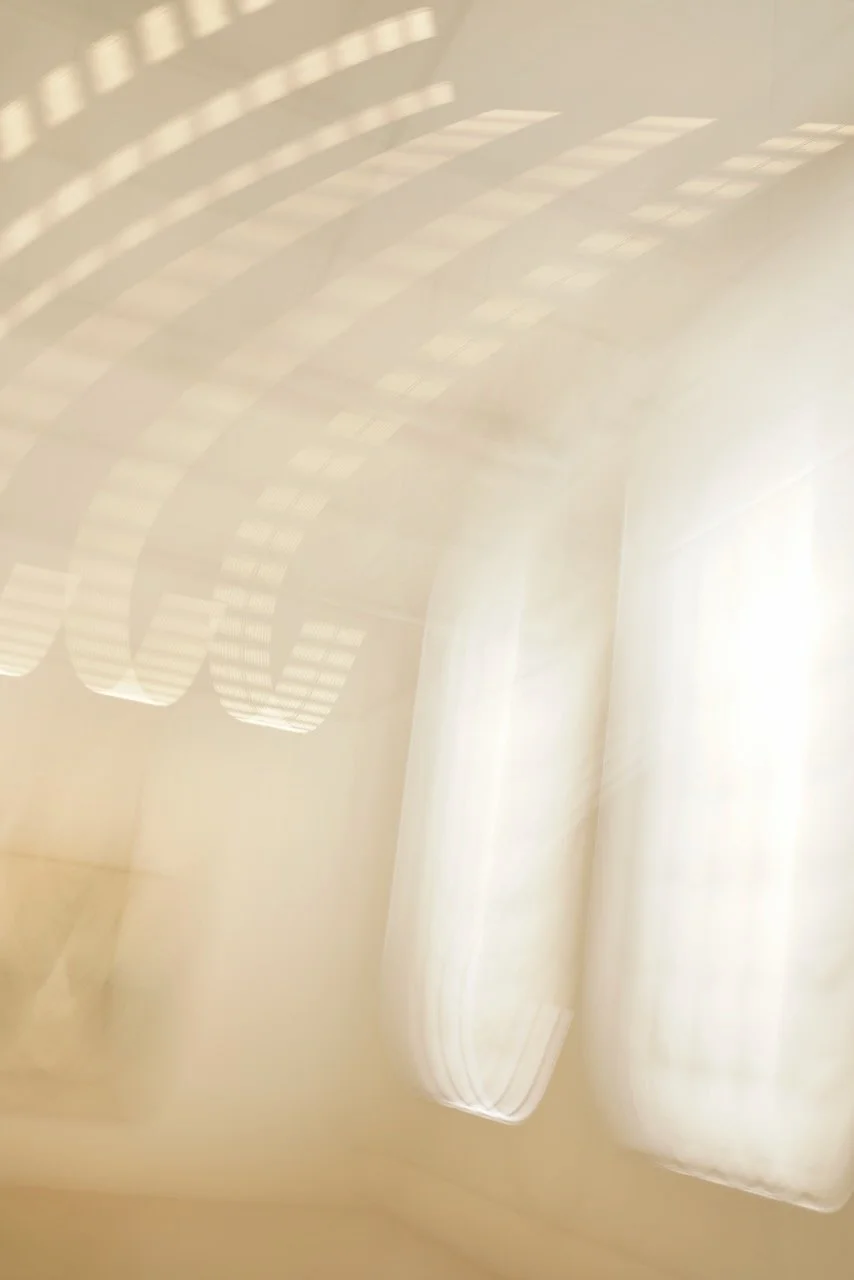  Movement 2024:159 (2024) C-print on wood panel, 60”x40” 