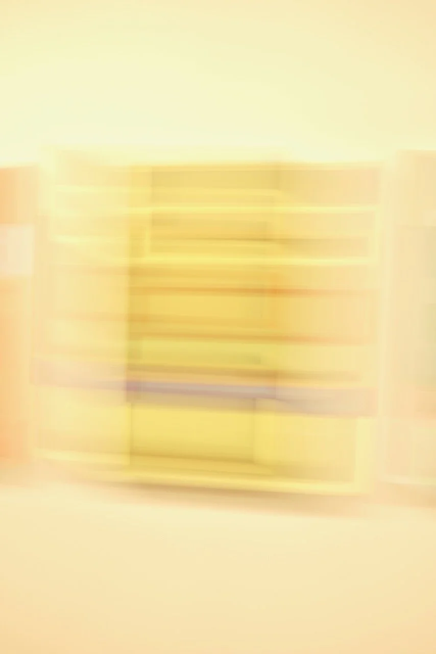  Movement 2024:163 (2024) C-print on wood panel, 60”x40” 