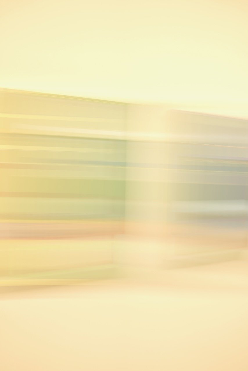  Movement 2024:164 (2024) C-print on wood panel, 60”x40” 