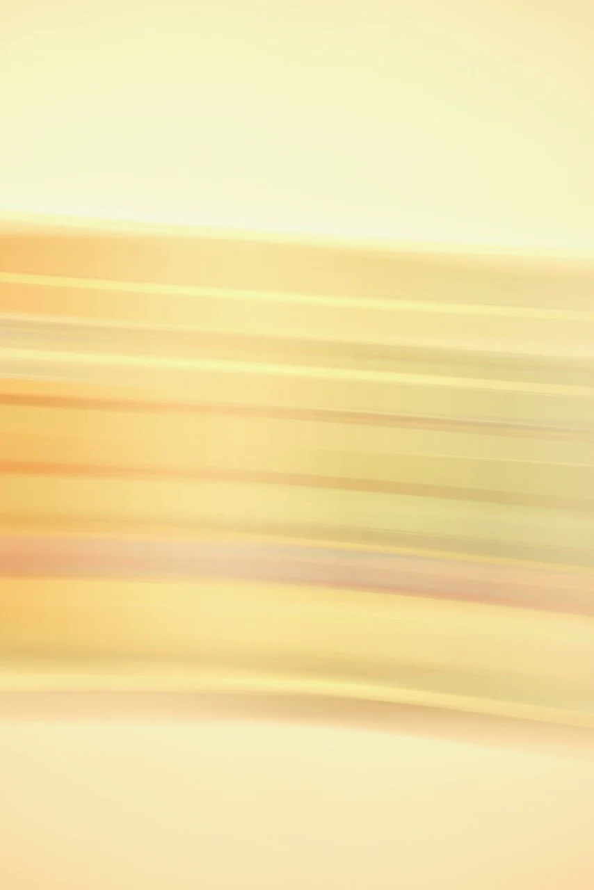  Movement 2024:165 (2024) C-print on wood panel, 60”x40” 