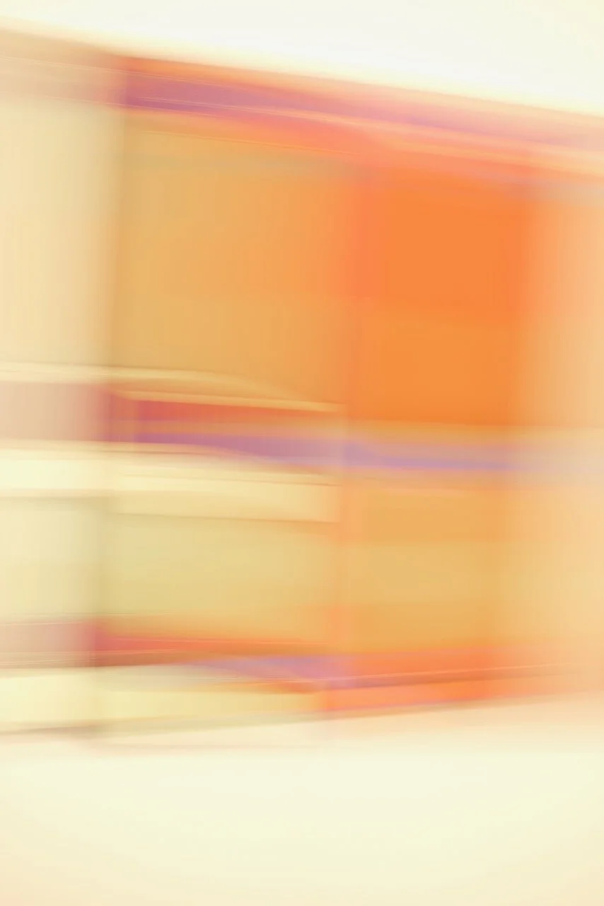  Movement 2024:166 (2024) C-print on wood panel, 60”x40” 