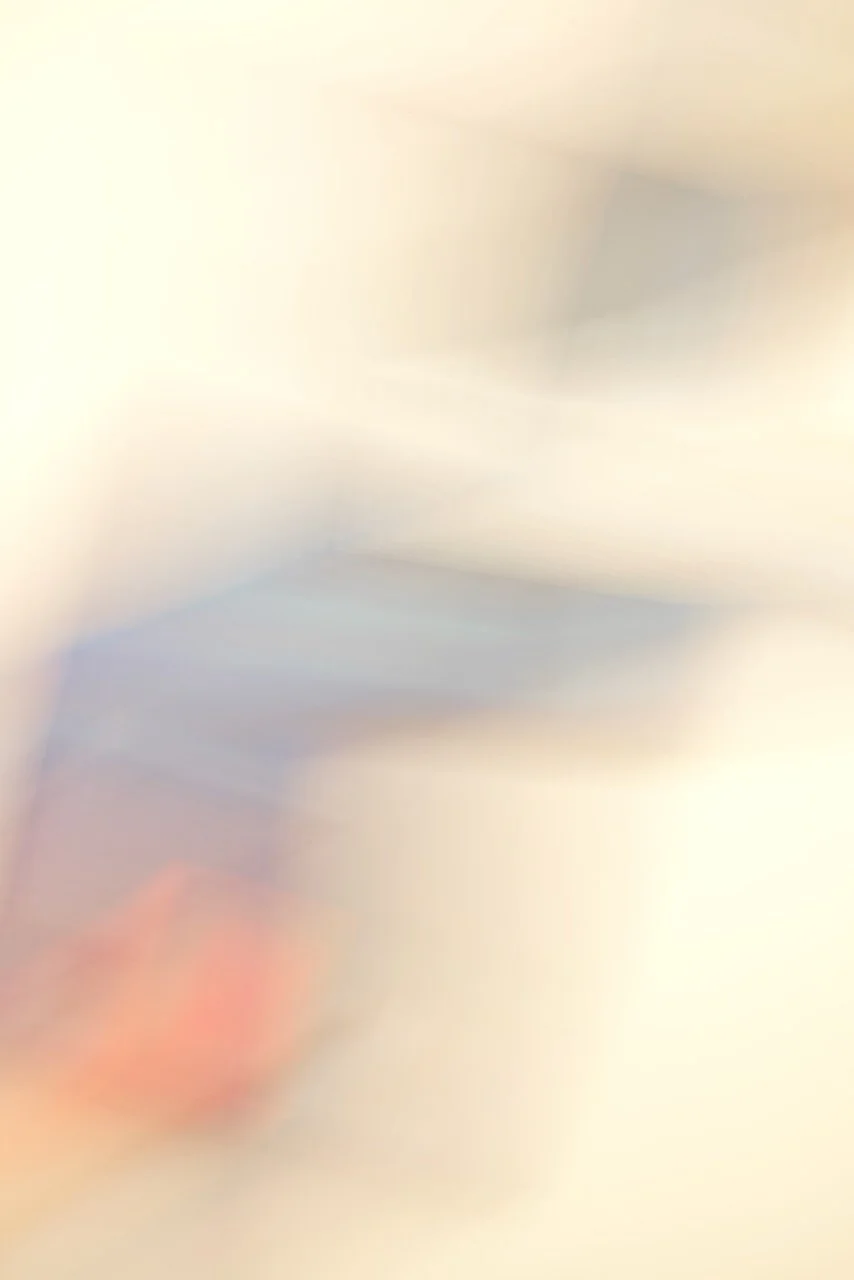  Movement 2024:168 (2024) C-print on wood panel, 60”x40” 