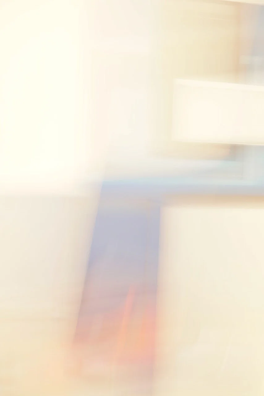  Movement 2024:169 (2024) C-print on wood panel, 60”x40” 