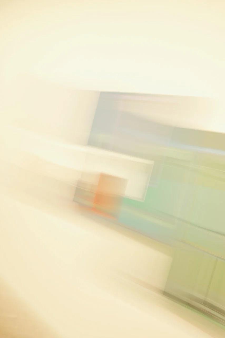  Movement 2024:170 (2024) C-print on wood panel, 60”x40” 