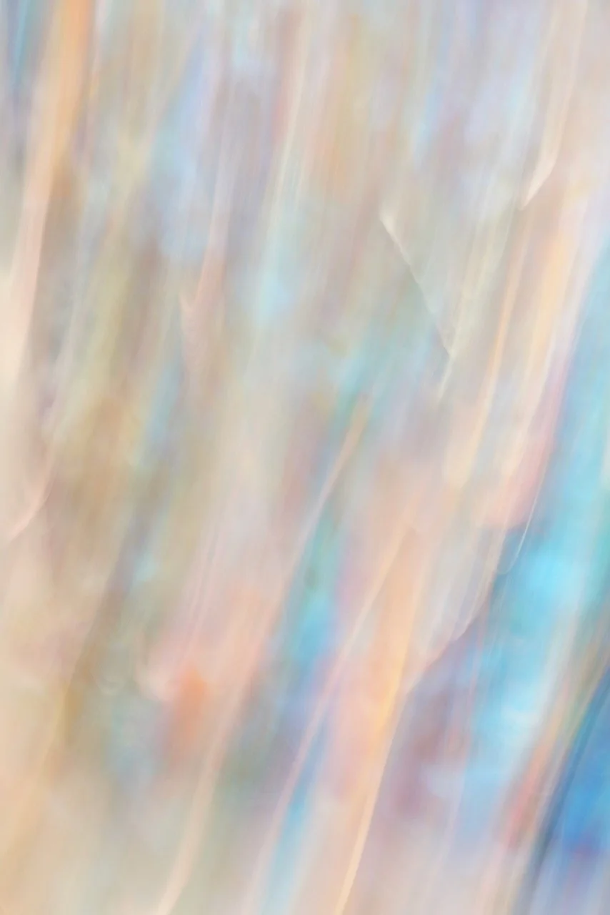  Movement 2024:178 (2024) C-print on wood panel, 60”x40” 