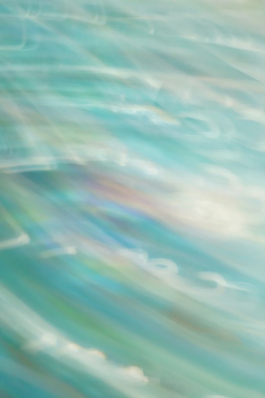  Movement 2024:180 (2024) C-print on wood panel, 60”x40” 