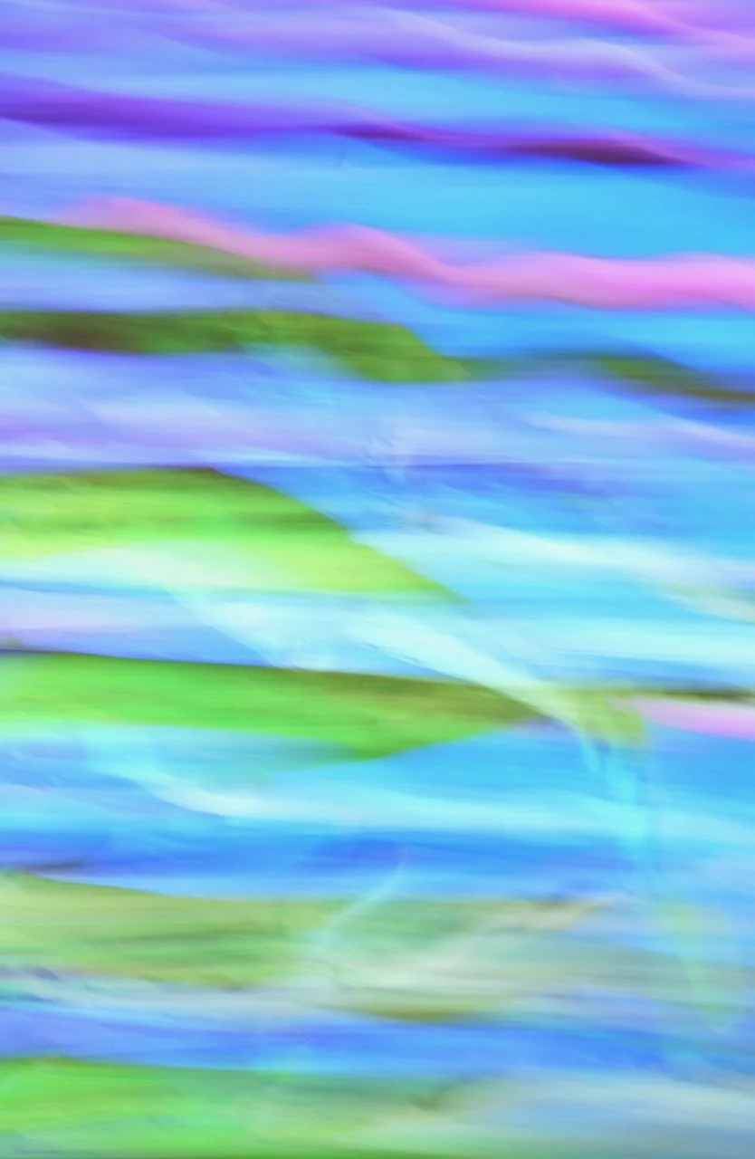  Movement 2024:195 (2024) C-print on wood panel, 60”x40” 