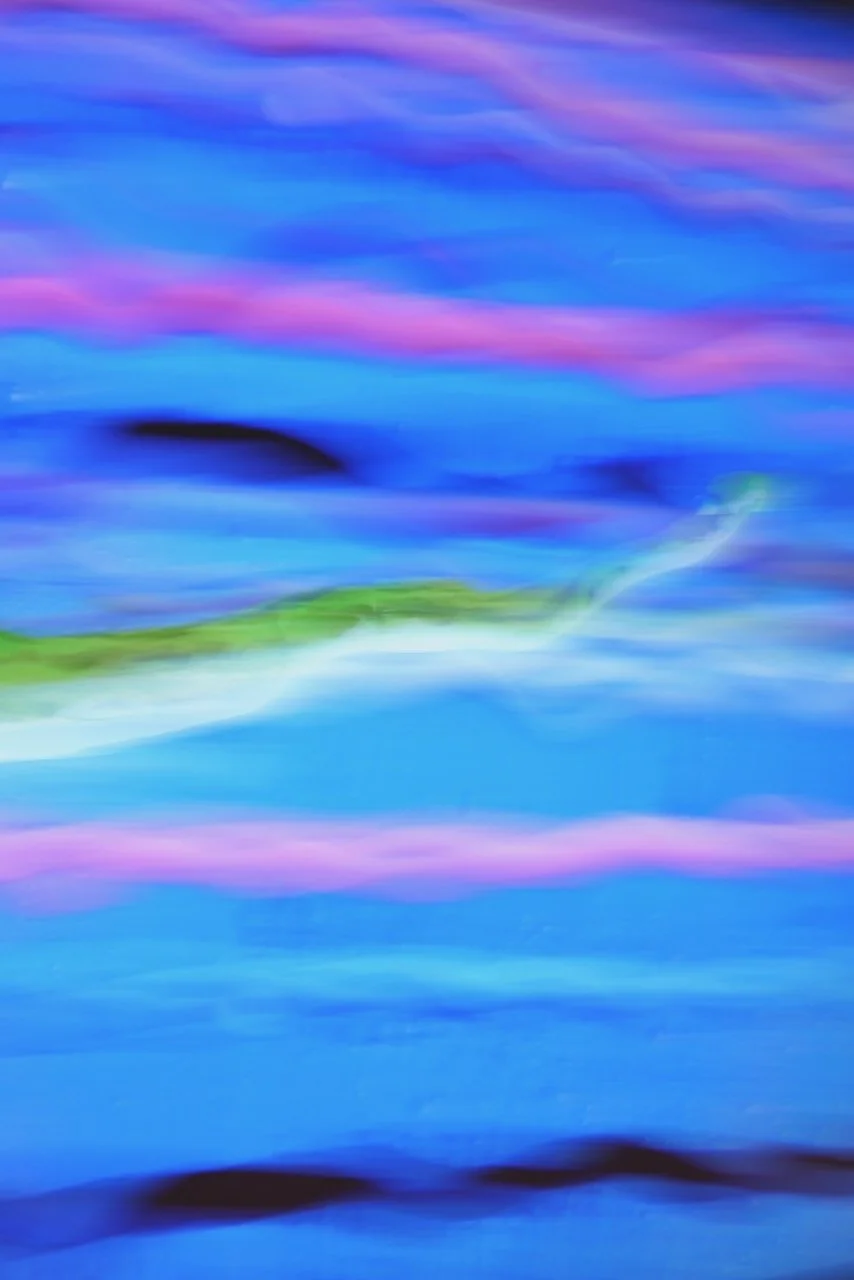  Movement 2024:196 (2024) C-print on wood panel, 60”x40” 