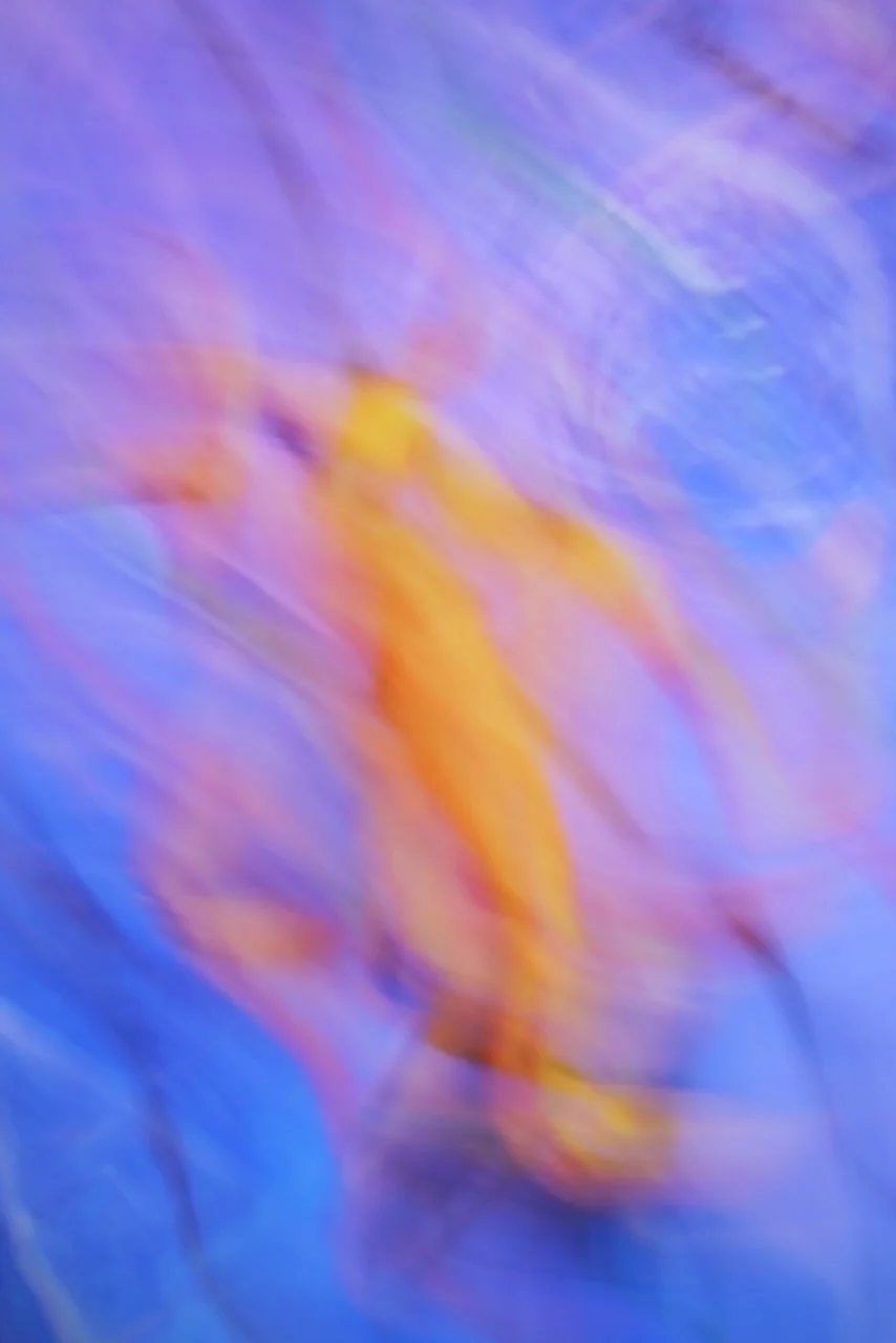  Movement 2024:201 (2024) C-print on wood panel, 60”x40” 