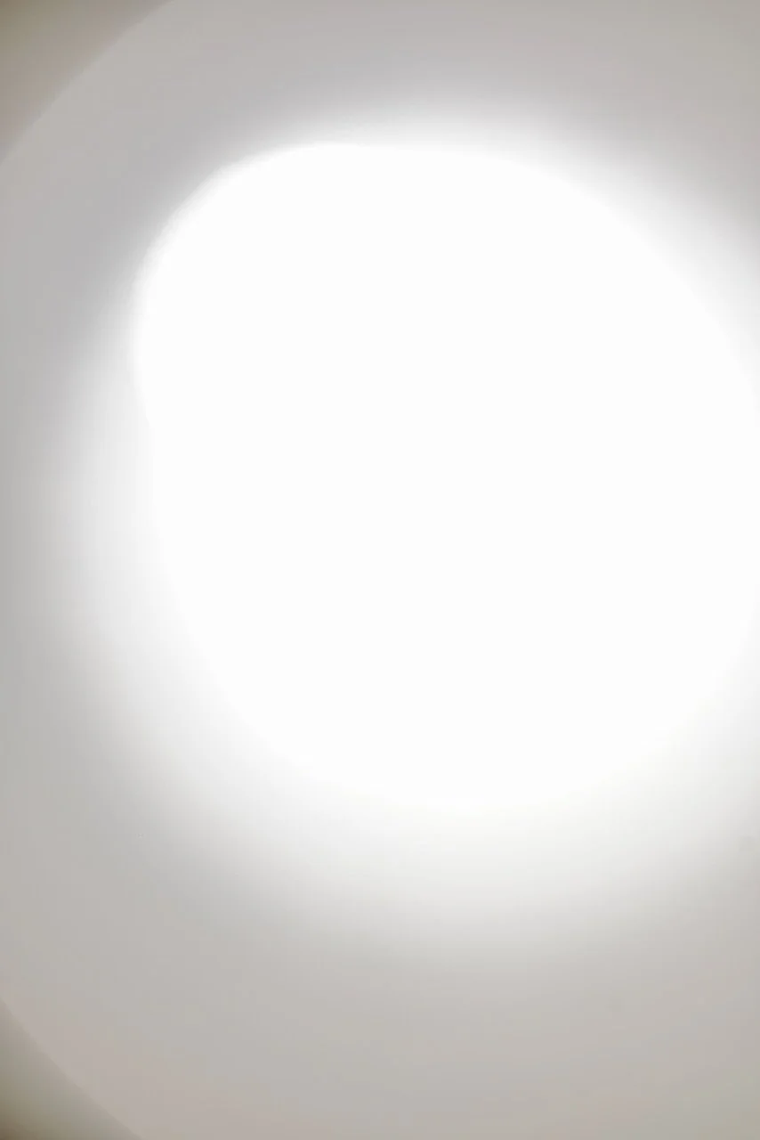  Movement 2024:203 (2024) C-print on wood panel, 60”x40” 