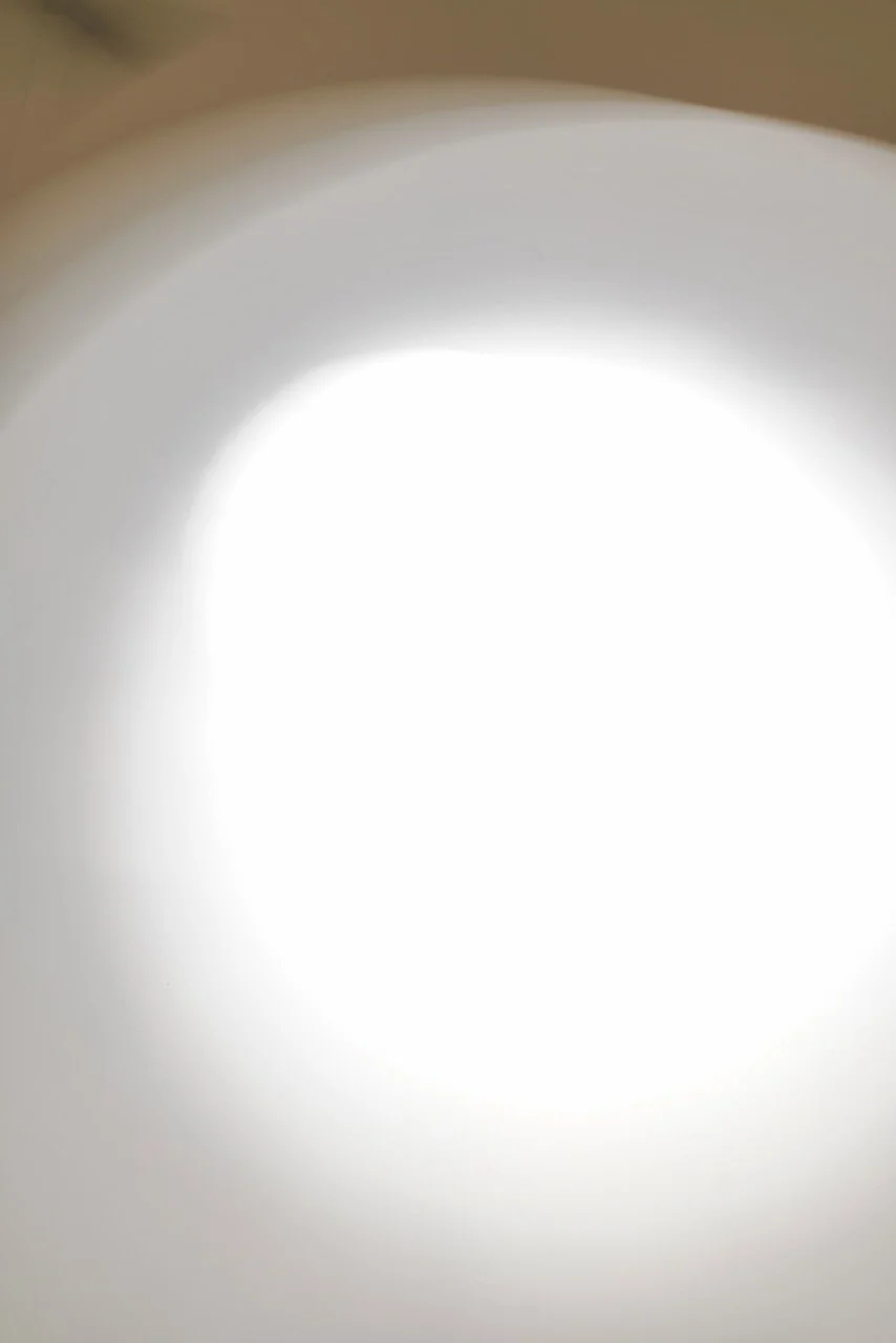  Movement 2024:204 (2024) C-print on wood panel, 60”x40” 