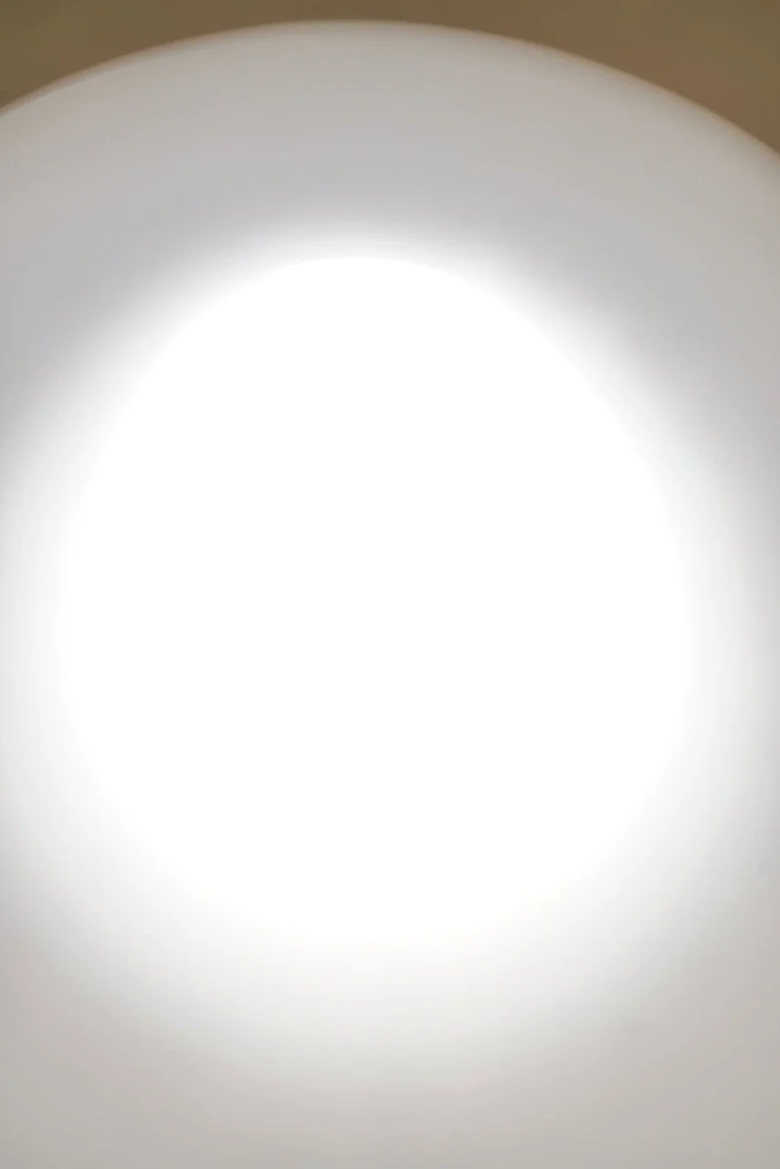  Movement 2024:205 (2024) C-print on wood panel, 60”x40” 