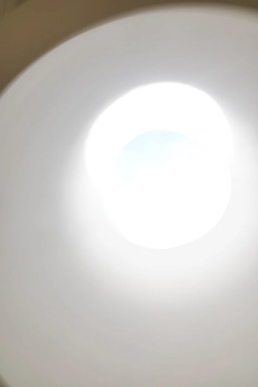  Movement 2024:206 (2024) C-print on wood panel, 60”x40” 