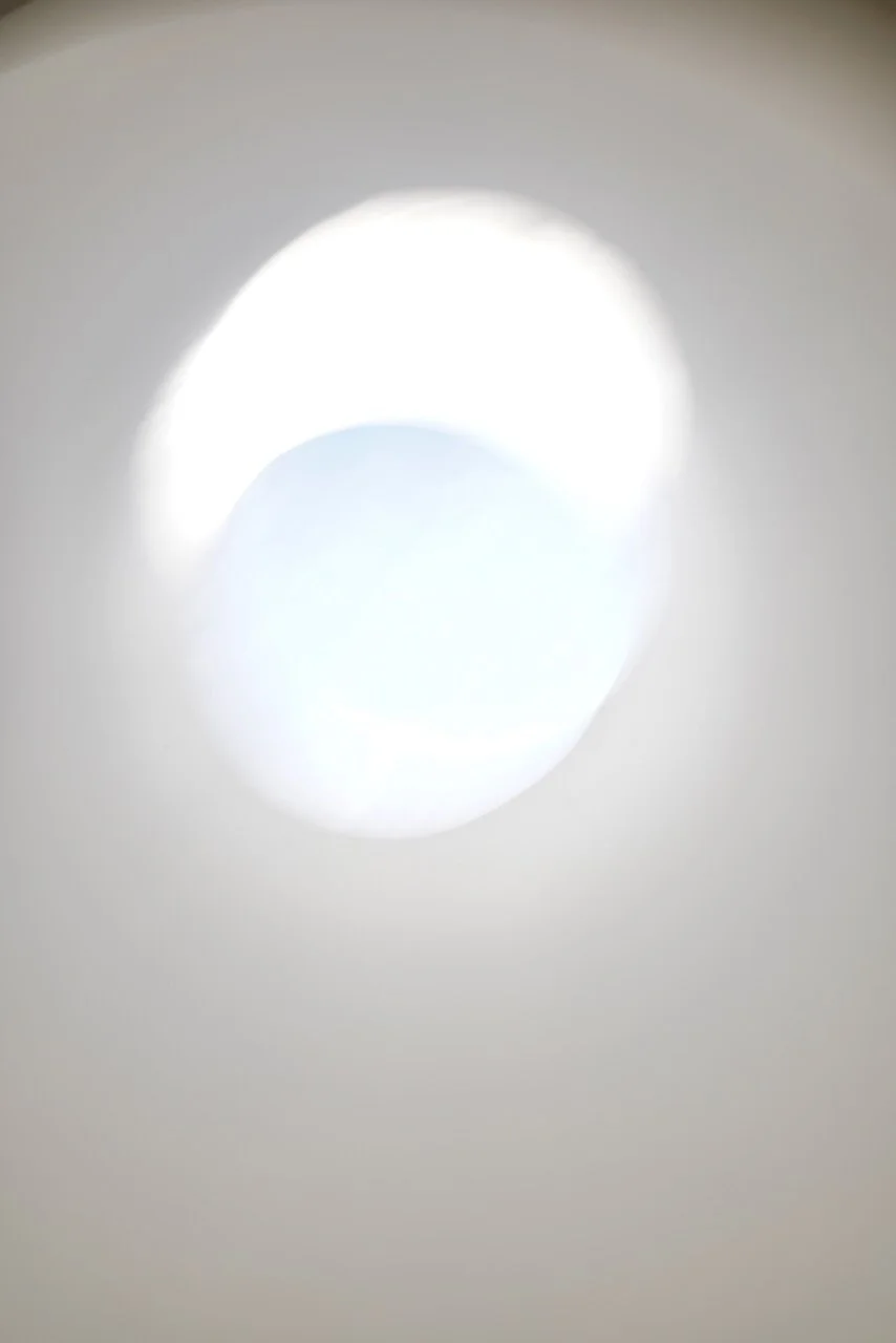  Movement 2024:207 (2024) C-print on wood panel, 60”x40” 