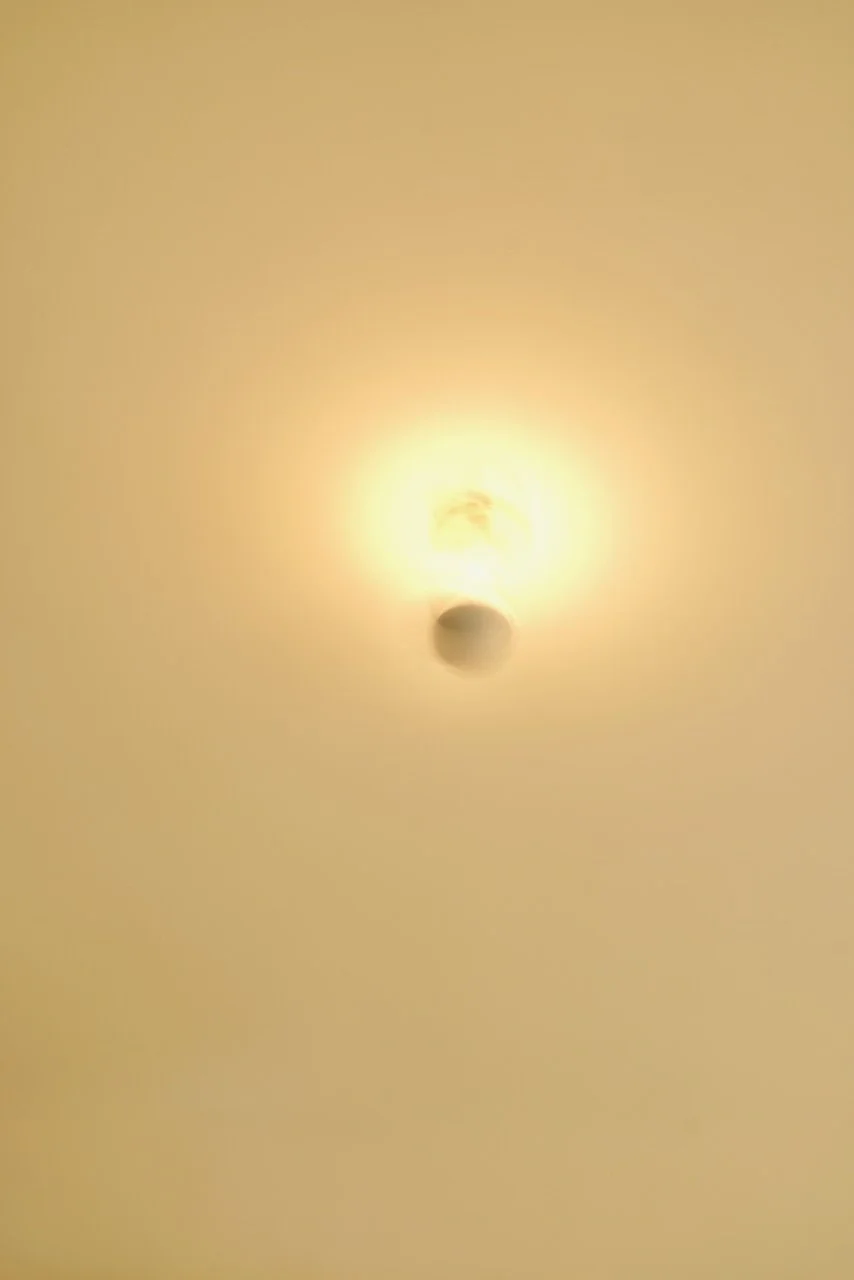  Movement 2024:209 (2024) C-print on wood panel, 60”x40” 