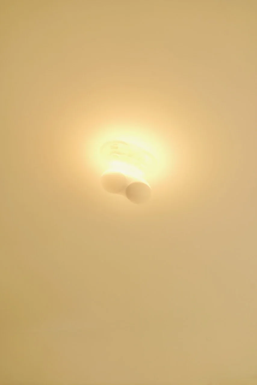  Movement 2024:211 (2024) C-print on wood panel, 60”x40” 