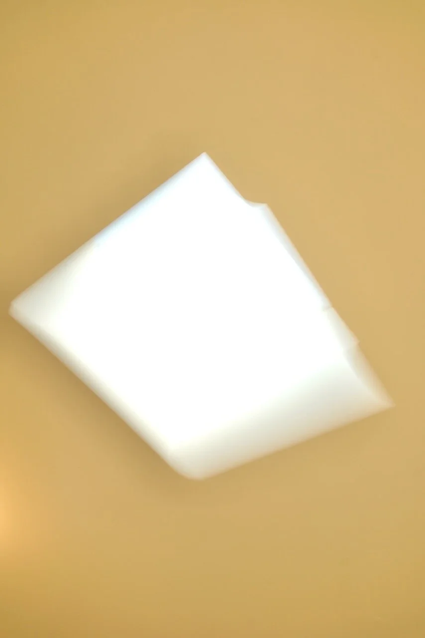  Movement 2024:212 (2024) C-print on wood panel, 60”x40” 