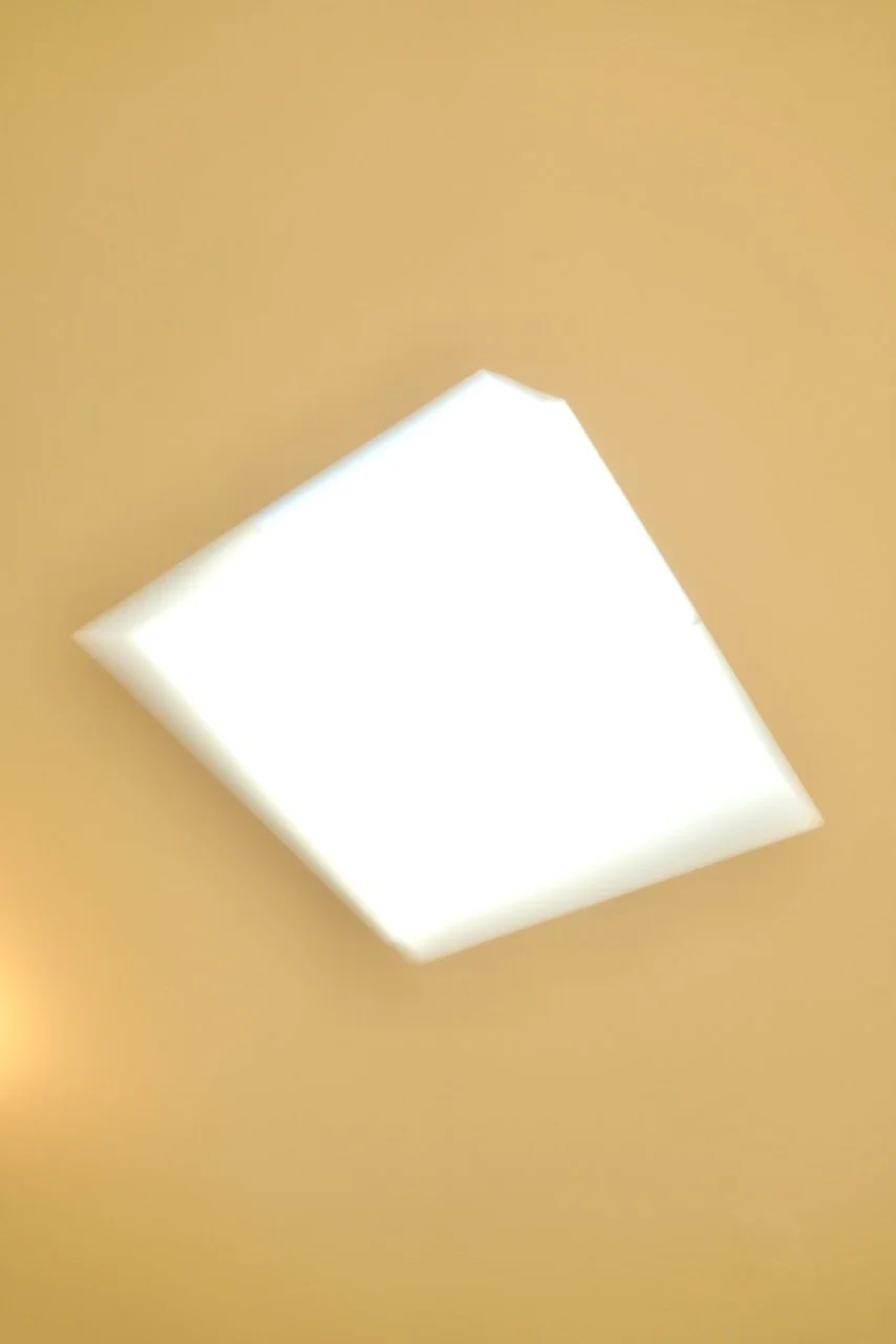  Movement 2024:213 (2024) C-print on wood panel, 60”x40” 