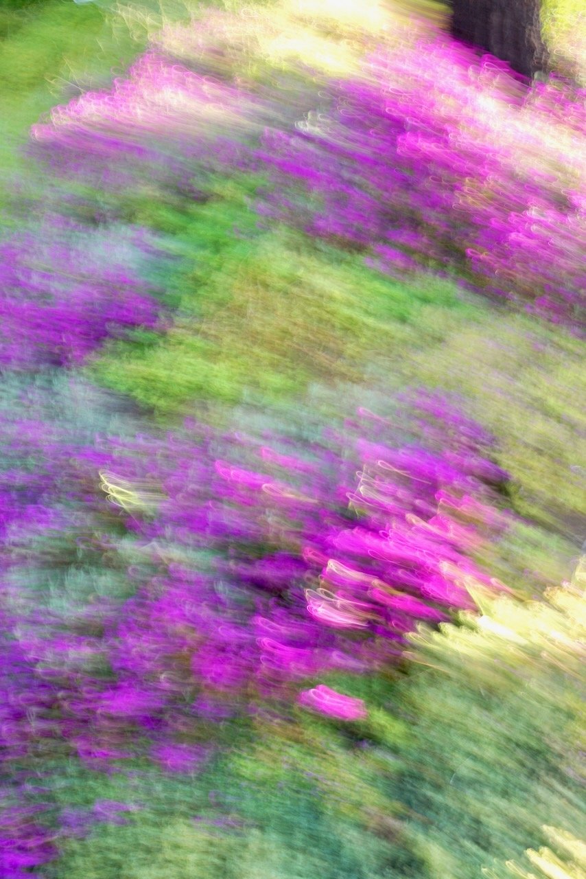  Movement 2024:214 (2024) C-print on wood panel, 60”x40” 