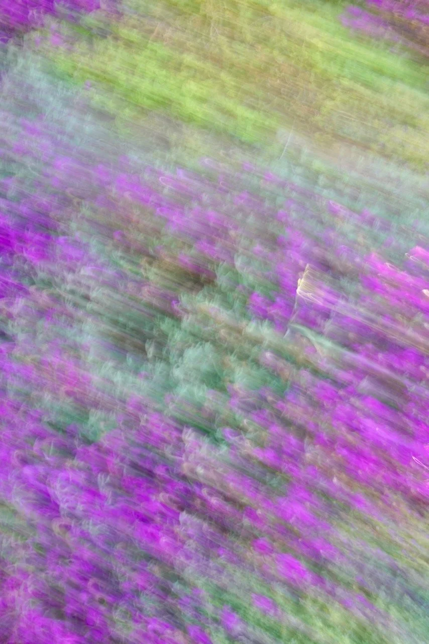  Movement 2024:216 (2024) C-print on wood panel, 60”x40” 