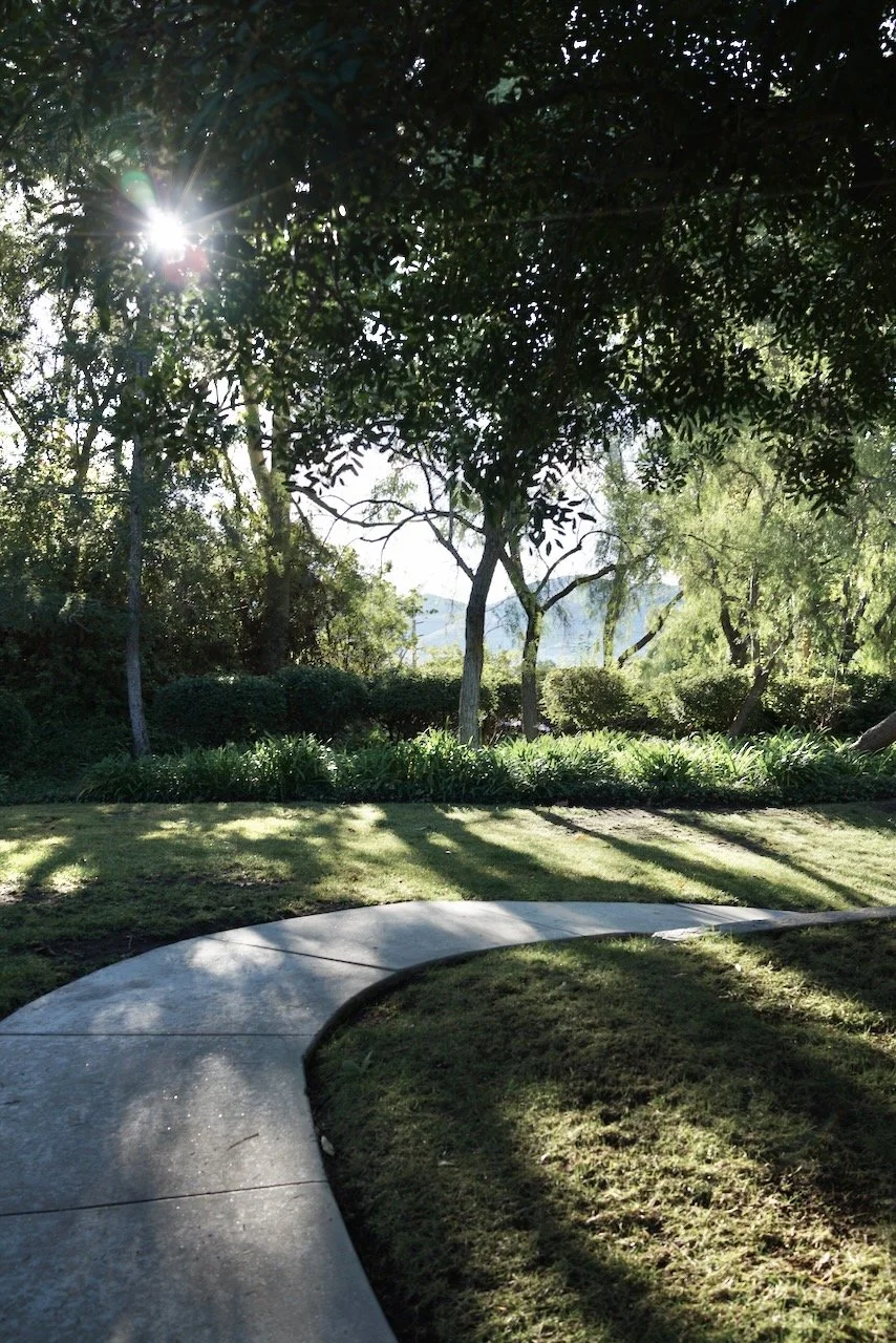  Spaces 2024:1 (2024) C-print on wood panel, 60”x40” 