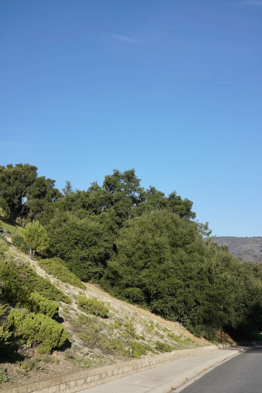  Spaces 2024:2 (2024) C-print on wood panel, 60”x40” 