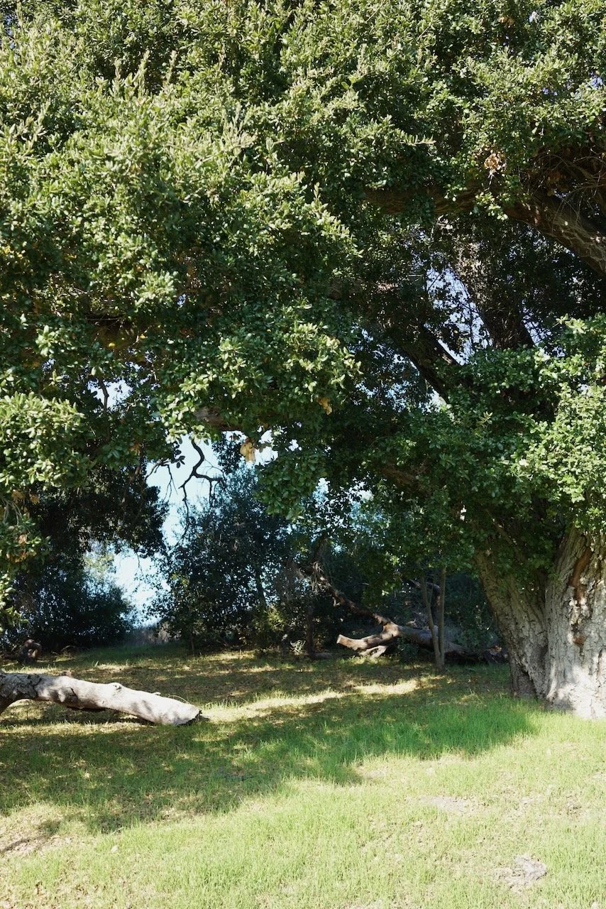  Spaces 2024:4 (2024) C-print on wood panel, 60”x40” 