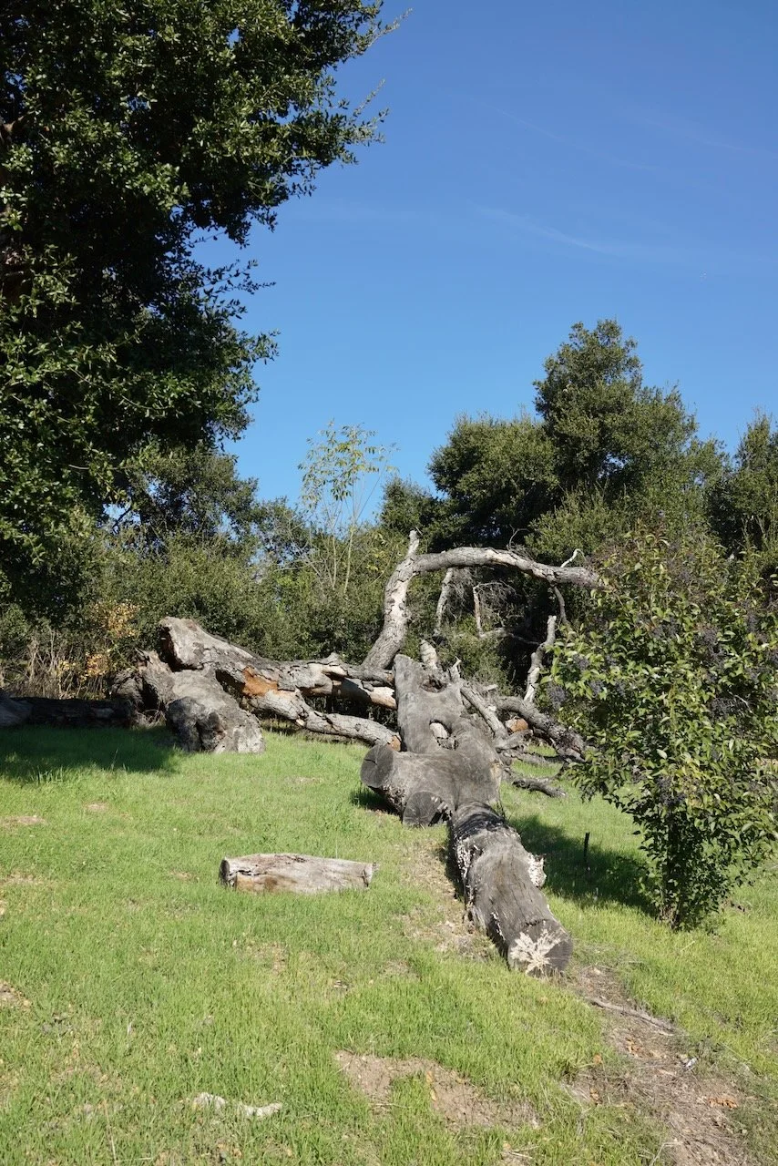  Spaces 2024:5 (2024) C-print on wood panel, 60”x40” 