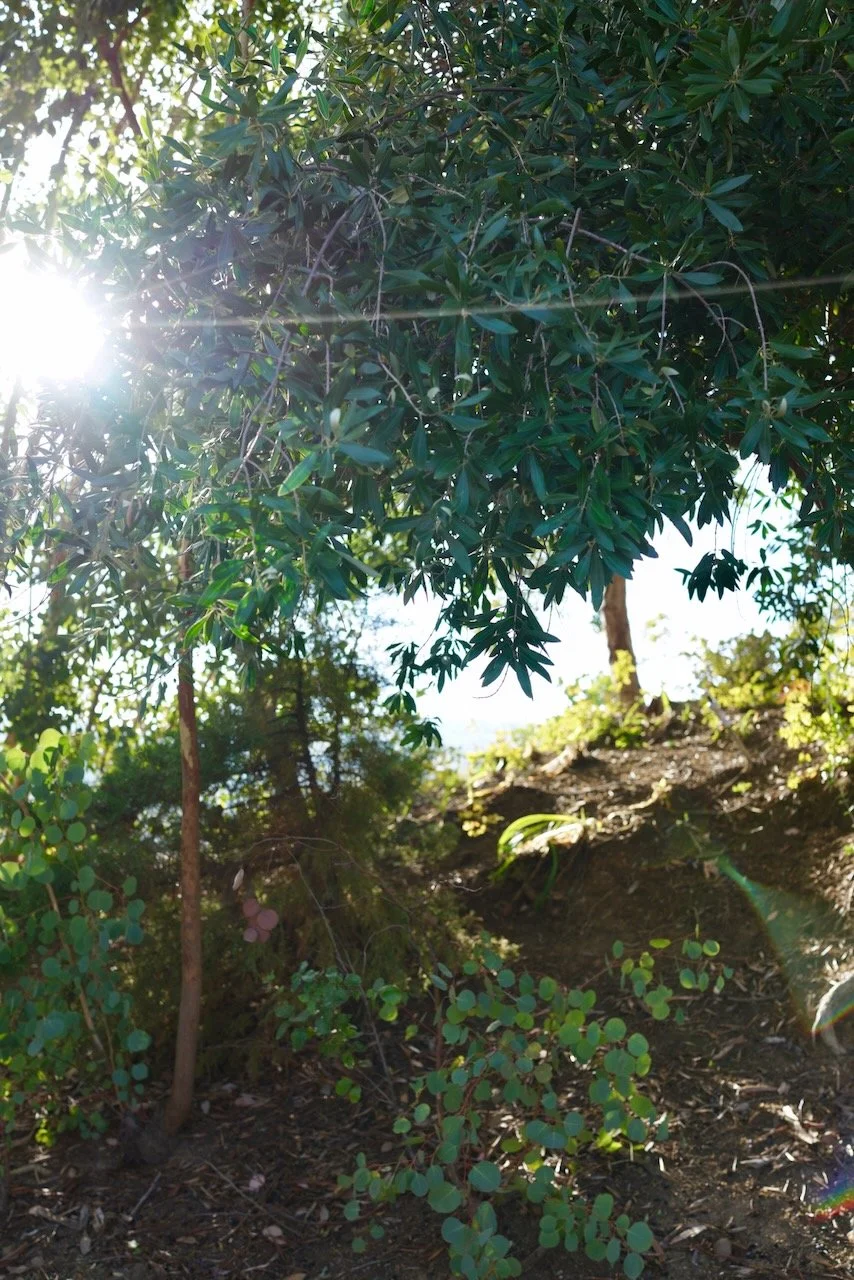  Spaces 2024:10 (2024) C-print on wood panel, 60”x40” 