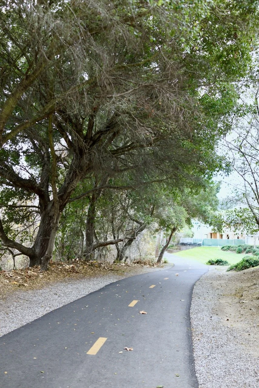  Spaces 2024:14 (2024) C-print on wood panel, 60”x40” 